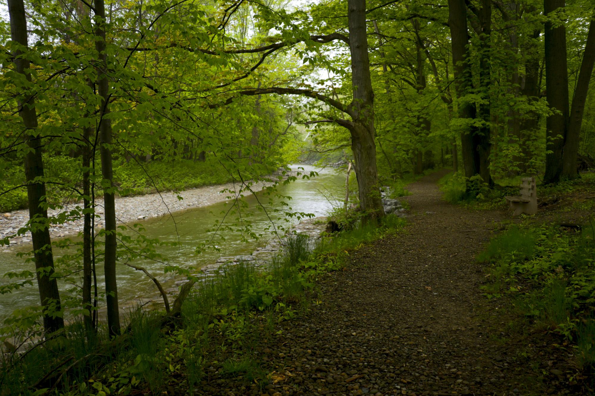 Chautauqua Creek Trail and Beach Improvements