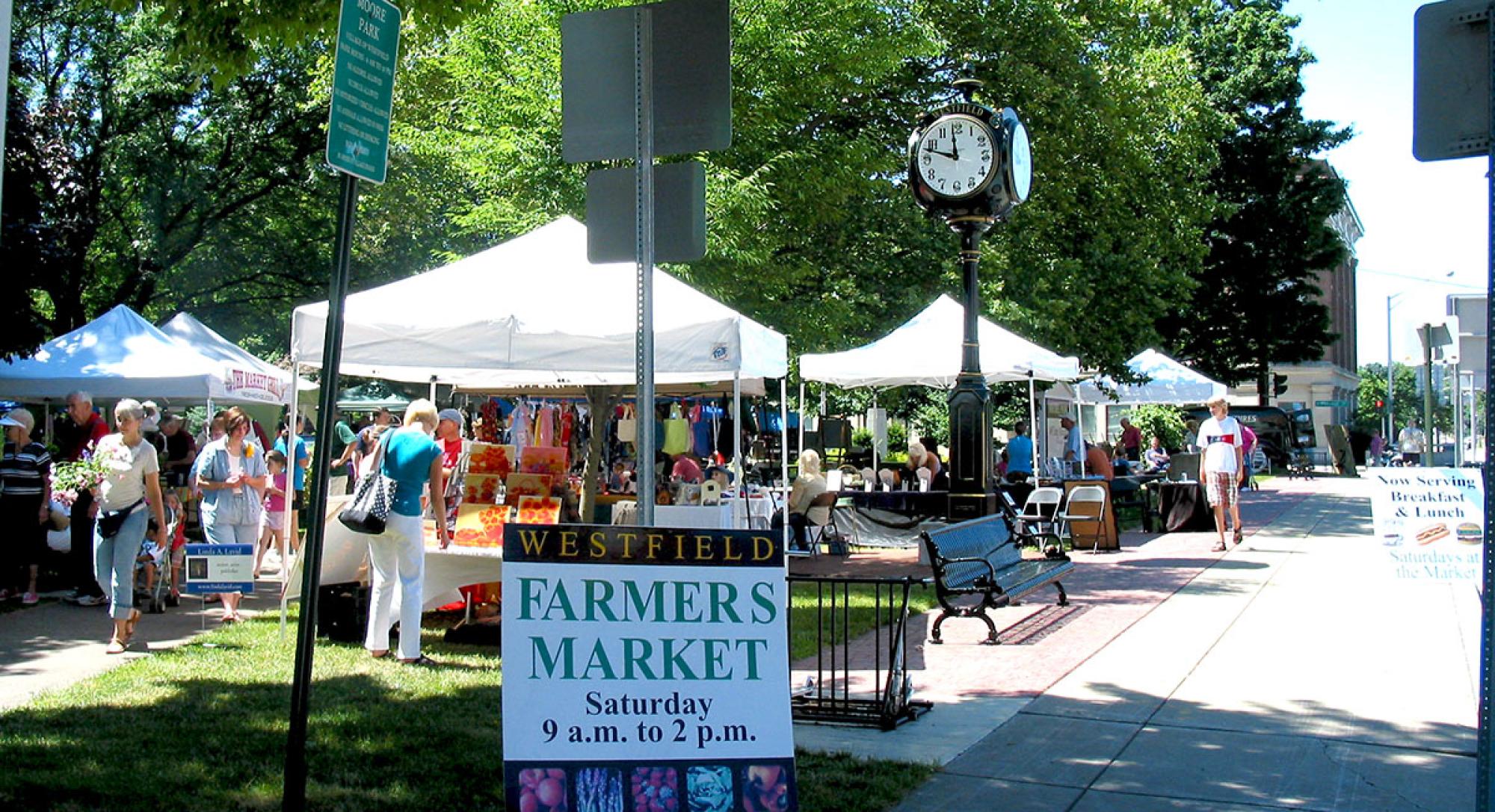 Westfield NY Farmers Market in Moore Park every Saturday