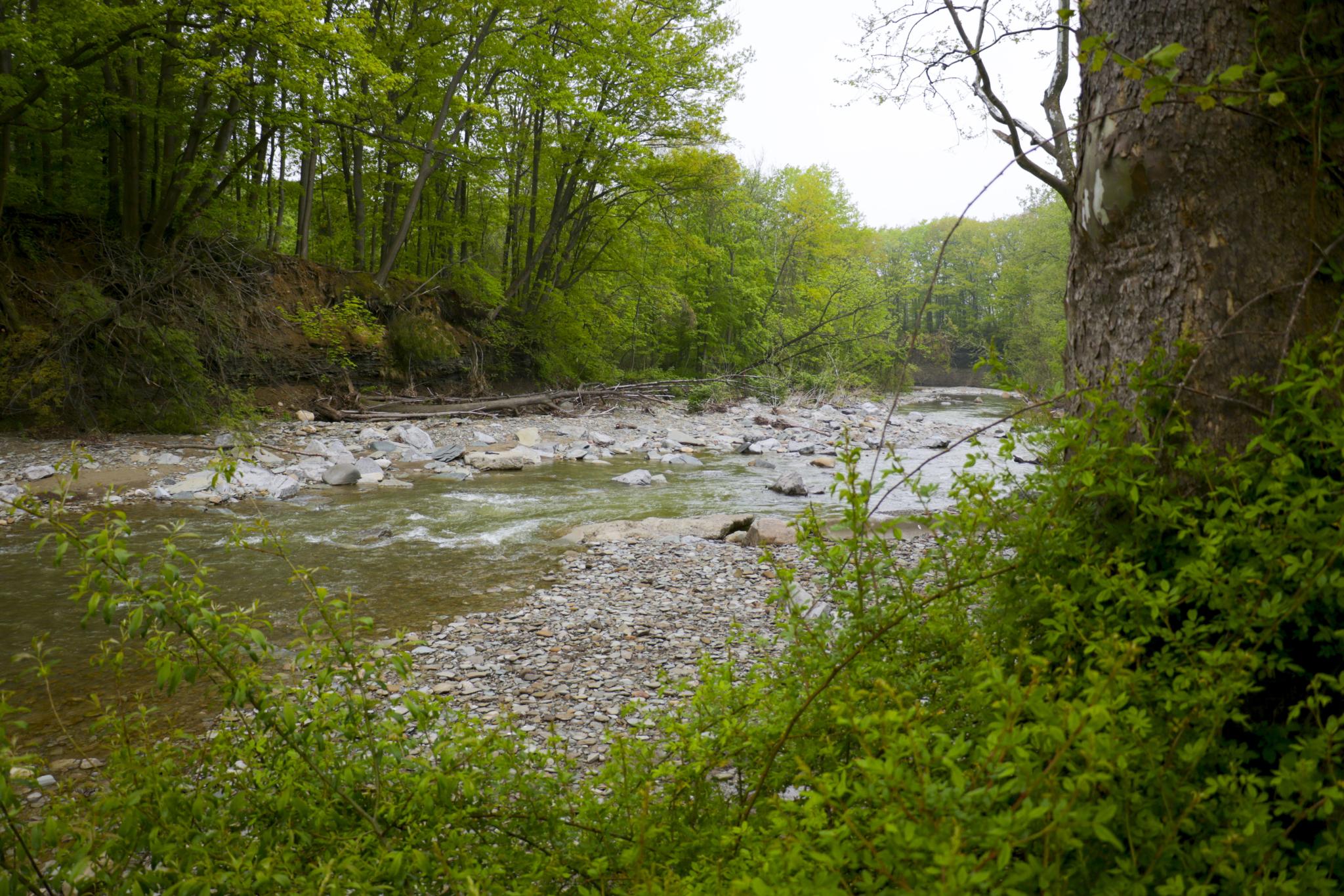 Chautauqua Creek