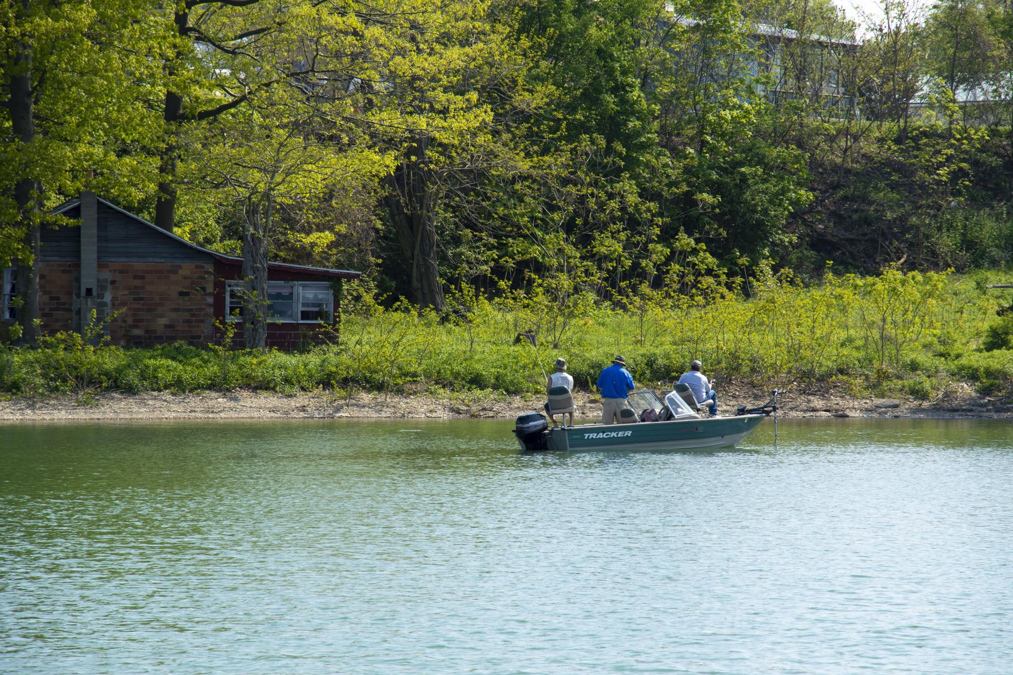 Boat in the harbor